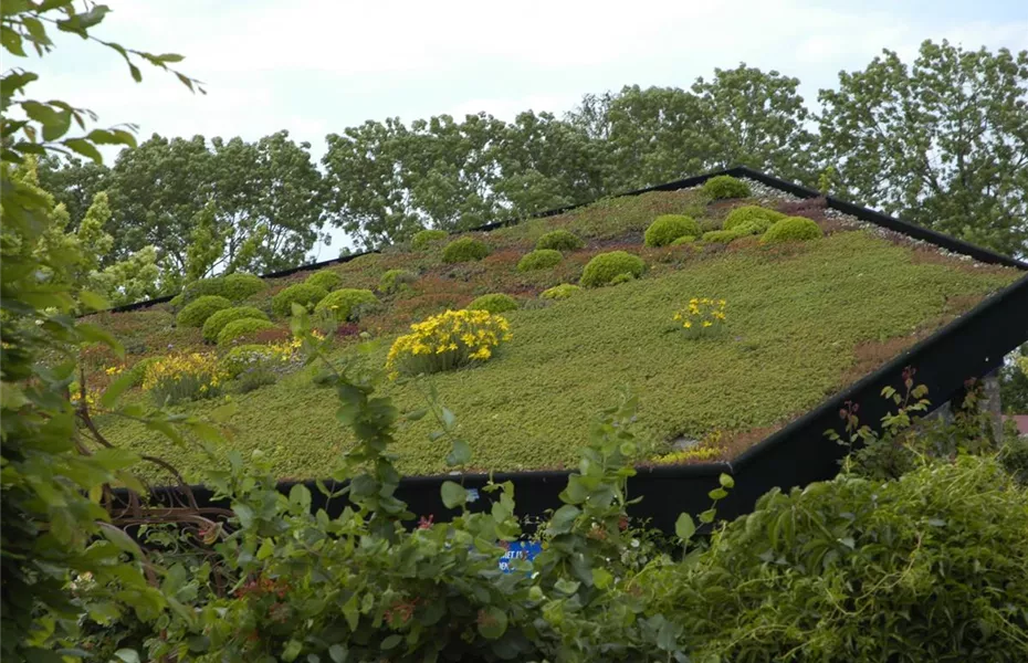 Der Dachgarten: ein Paradies über den Dächern der Welt