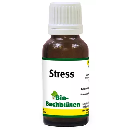 Bio-Bachblüten Stress