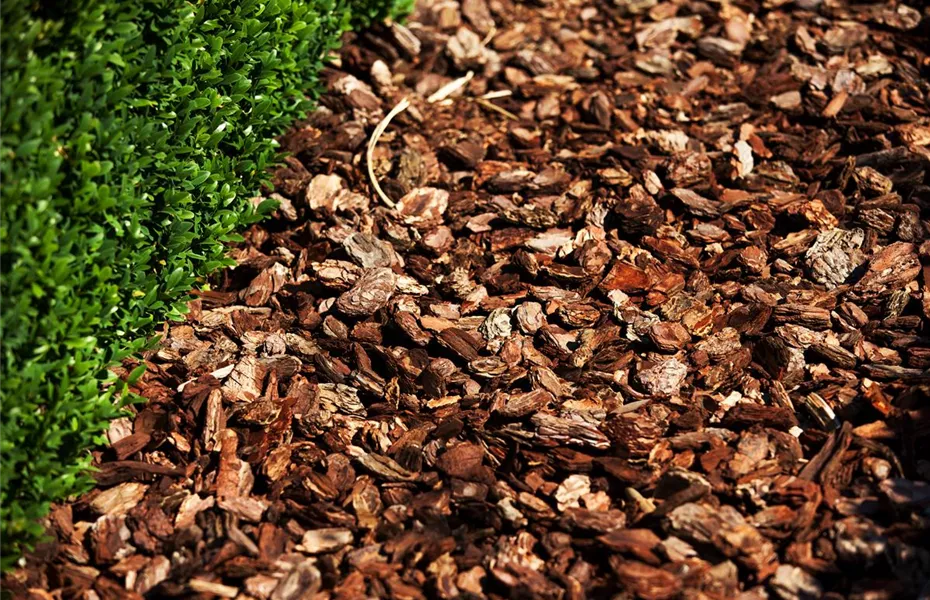 Was bringt der April dem Gärtner an Arbeit?