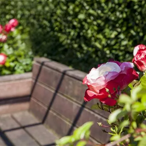 Lauschige Ecken im Garten
