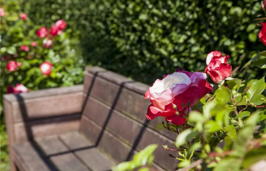 Lauschige Ecken im Garten