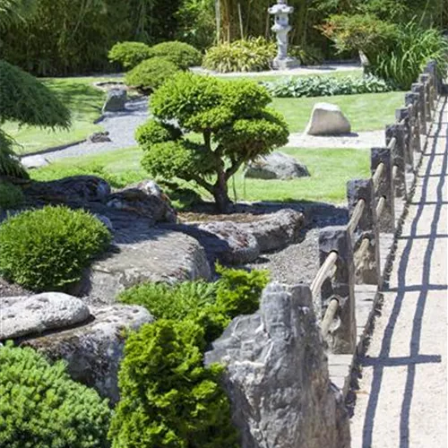 Der Feng-Shui-Garten: botanischer Einklang für die Gesundheit