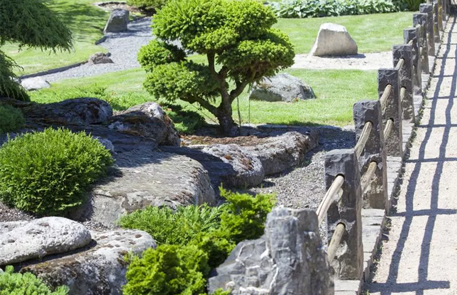 Der Feng-Shui-Garten: botanischer Einklang für die Gesundheit