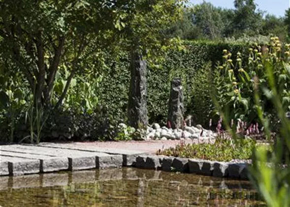 Der Wassergarten - Harmonie und Bewegung zugleich