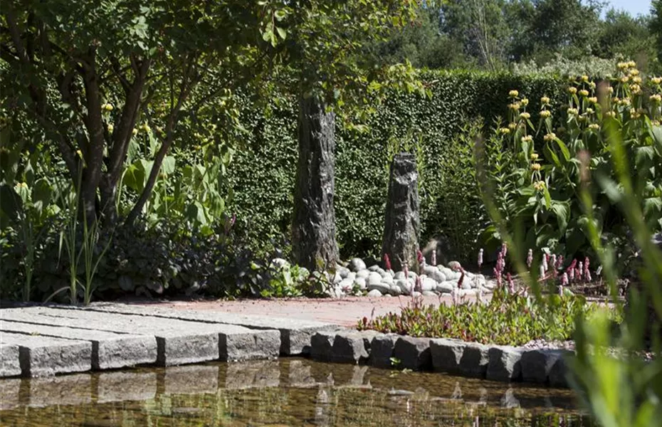 Der Wassergarten - Harmonie und Bewegung zugleich