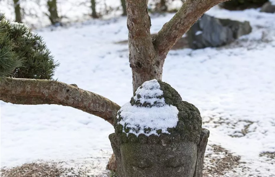 Es müssen nicht immer Zwerge sein - Skulpturen im Garten