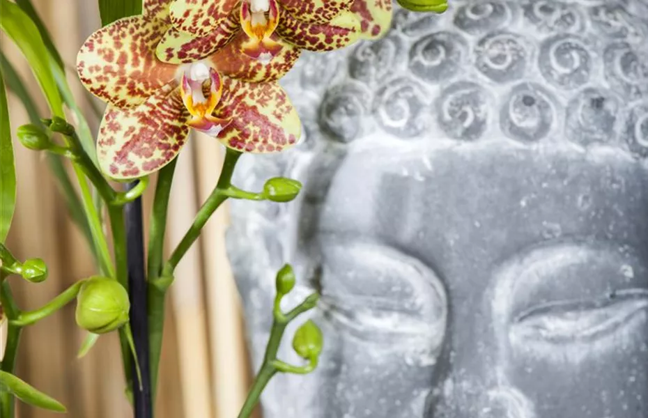 Es müssen nicht immer Zwerge sein - Skulpturen im Garten