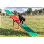 TRIXIE Fun Agility Wippe 300 × 54 × 34 cm