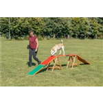 TRIXIE Fun Agility Wippe 300 × 54 × 34 cm