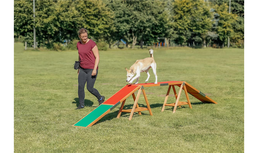 TRIXIE Fun Agility Wippe 300 × 54 × 34 cm