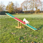 TRIXIE Fun Agility Wippe 300 × 54 × 34 cm