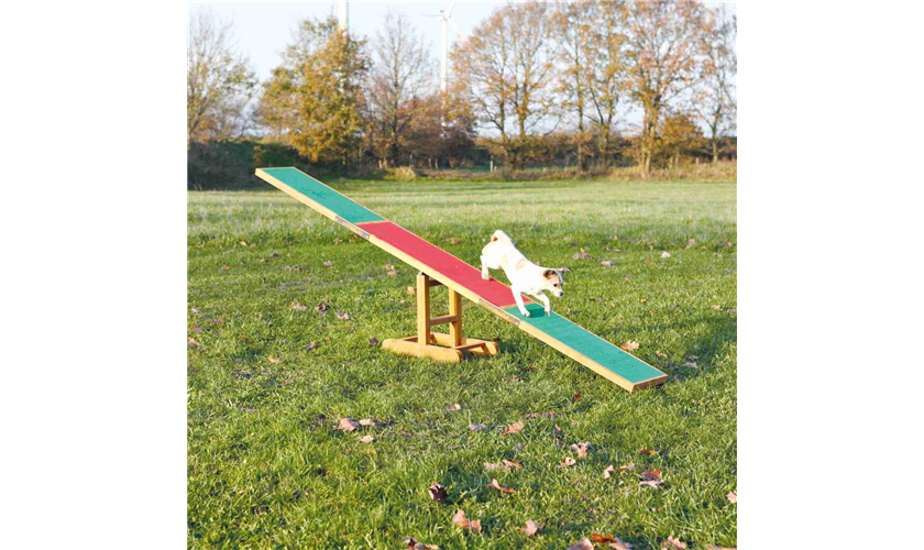 TRIXIE Fun Agility Wippe 300 × 54 × 34 cm