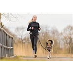 Jogginggurt mit Leine Art.-Nr.: 12769, Maße: Gurt: 70–130 cm/23 cm, Leine: 1,15–1,50 m/20 mm, Bauchumfang: 70–130 cm