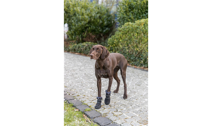 Pfotenschutz Walker Active Long Art.-Nr.: 19416, Größe L-XL, Maße: ø 7-7,5 cm, z. B. für Golden Retriever