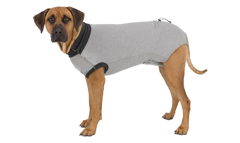 OP-Body für Hunde Art.-Nr.: 19533, Größe S, Rückenlänge 35 cm