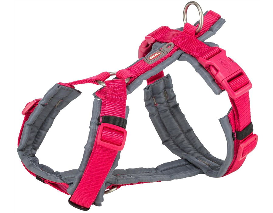 Premium Trekking Geschirr Art.-Nr.: 1997111, fuchsia/graphit, Größe S-M, Maße 44-53 cm/20 mm