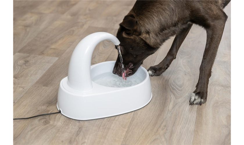 Trinkbrunnen Curved Stream Art.-Nr.: 24444, Maße: 2,5 l/25 × 24,5 × 35 cm
