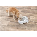 Trinkbrunnen Duo Stream Art.-Nr.: 24462, Maße: 1 l/20 × 12 × 23 cm