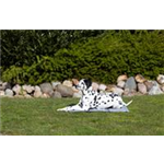 Kühlmatte Soft Art.-Nr.: 28787, Größe XL, Maße: 90 x 60 cm