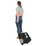 Trolley 2880, Maße: 32 × 45 × 25 cm, bis zu: 8 kg