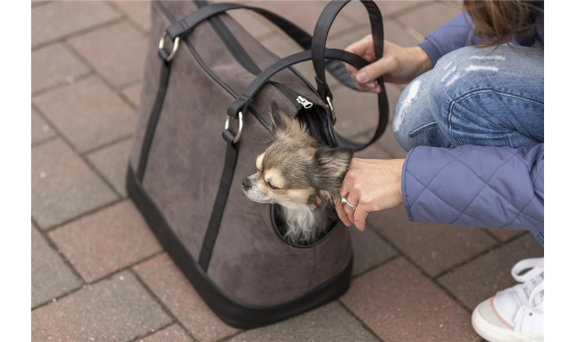 Tasche Alfie Art.-Nr.: 28874, Maße: 21 × 30 × 43 cm, bis zu: 7 kg