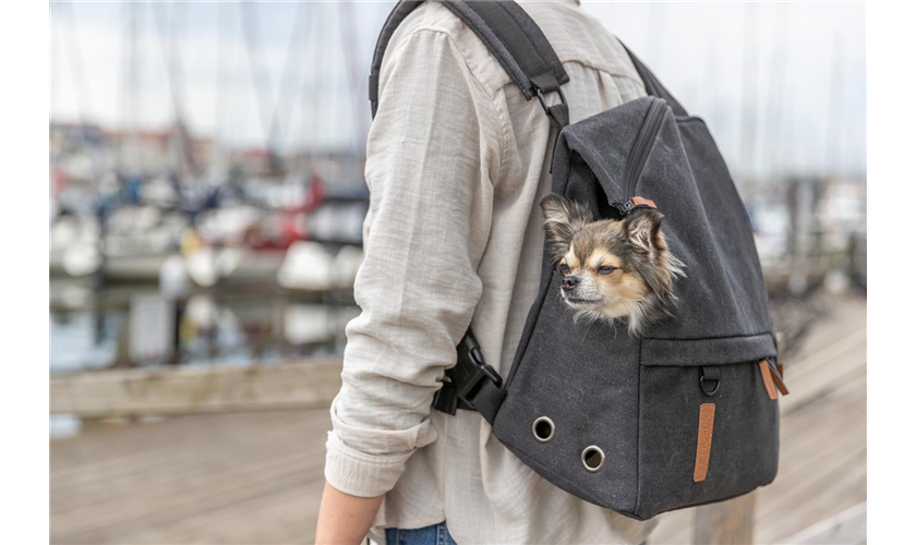 BE NORDIC Rucksack Bjorn Art.-Nr.: 28891, Maße: 35 × 40 × 20 cm, bis zu: 12 kg BE NORDIC Rucksack Bjorn Art.-Nr.: 28891, Maße: 35 × 40 × 20 cm, bis zu: 12 kg