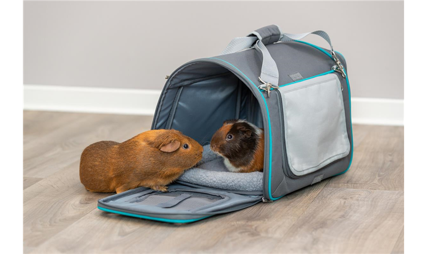 Wohn- und Transporttasche Vicky Art.-Nr.: 28900, Maße: 40 × 27 × 28 cm, bis zu: 5 kg Wohn- und Transporttasche Vicky Art.-Nr.: 28900, Maße: 40 × 27 × 28 cm, bis zu: 5 kg