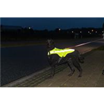 Sicherheitsweste Art.-Nr. 30091, Größe XS, Maße 25 cm, Bauchumfang 38-54 cm Sicherheitsweste Art.-Nr. 30091, Größe XS, Maße 25 cm, Bauchumfang 38-54 cm