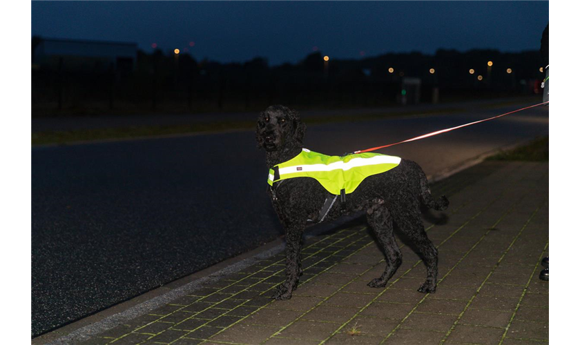 Sicherheitsweste Art.-Nr. 30091, Größe XS, Maße 25 cm, Bauchumfang 38-54 cm Sicherheitsweste Art.-Nr. 30091, Größe XS, Maße 25 cm, Bauchumfang 38-54 cm