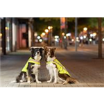 Sicherheitsweste Art.-Nr. 30091, Größe XS, Maße 25 cm, Bauchumfang 38-54 cm Sicherheitsweste Art.-Nr. 30091, Größe XS, Maße 25 cm, Bauchumfang 38-54 cm