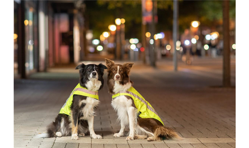 Sicherheitsweste Art.-Nr. 30091, Größe XS, Maße 25 cm, Bauchumfang 38-54 cm Sicherheitsweste Art.-Nr. 30091, Größe XS, Maße 25 cm, Bauchumfang 38-54 cm