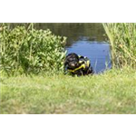 Schwimmweste für Hunde Art.-Nr. 30125, Größe XS, Maße 28 cm, bis zu 12 kg Schwimmweste für Hunde Art.-Nr. 30125, Größe XS, Maße 28 cm, bis zu 12 kg