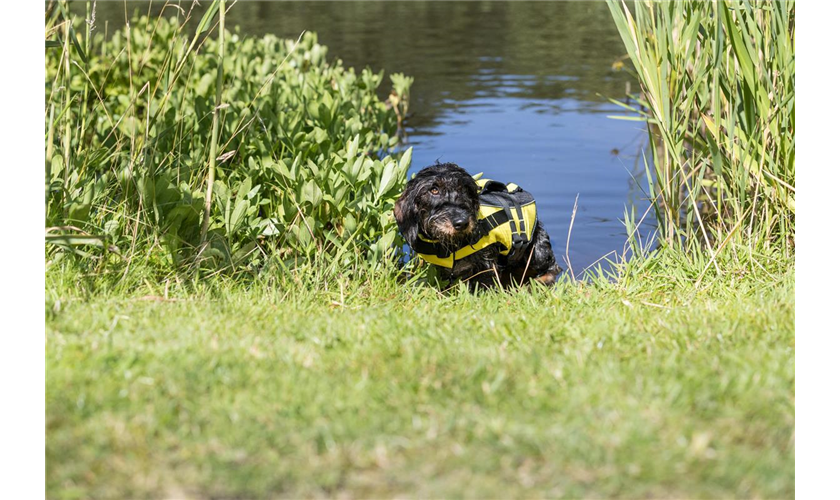 Schwimmweste für Hunde Art.-Nr. 30125, Größe XS, Maße 28 cm, bis zu 12 kg Schwimmweste für Hunde Art.-Nr. 30125, Größe XS, Maße 28 cm, bis zu 12 kg