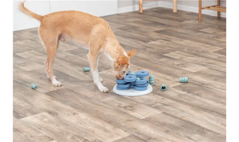 Flower Tower Strategiespiel Art.-Nr.: 32000, Maße: ø 30 × 13 cm Flower Tower Strategiespiel Art.-Nr.: 32000, Maße: ø 30 × 13 cm