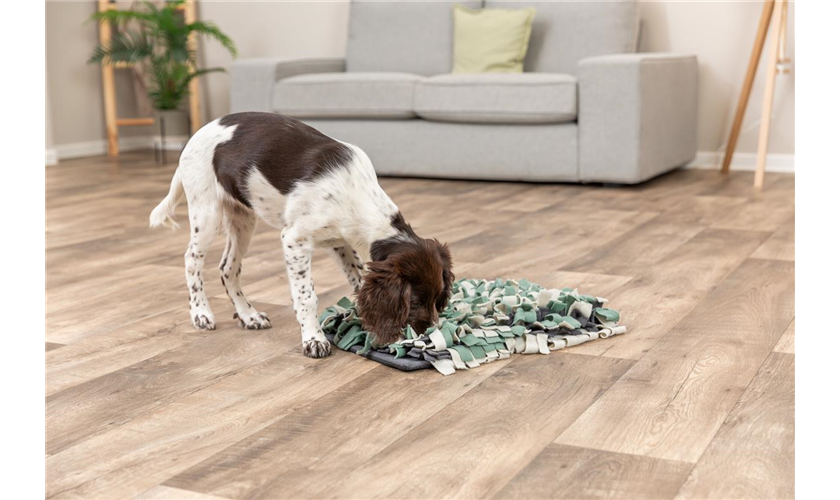 Strategie-Spiel Schnüffelteppich Art.-Nr.: 32037, Maße: 50 × 34 cm Strategie-Spiel Schnüffelteppich Art.-Nr.: 32037, Maße: 50 × 34 cm