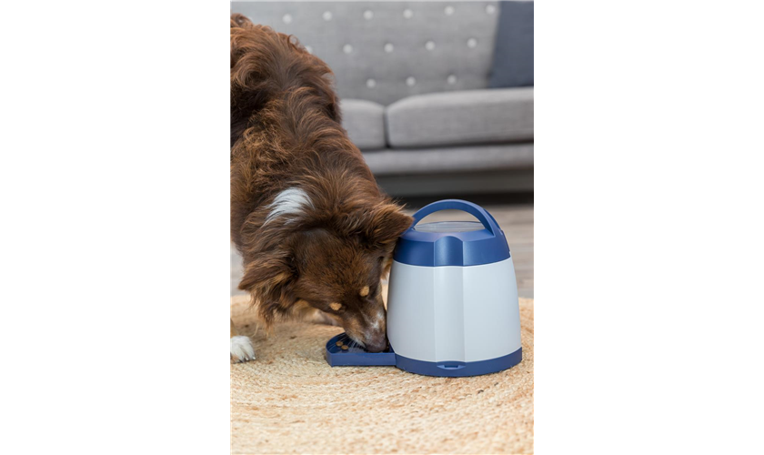 Memory Trainer 3.0 Strategiespiel Art.-Nr.: 32040, Maße: ø 20 × 24 cm Memory Trainer 3.0 Strategiespiel Art.-Nr.: 32040, Maße: ø 20 × 24 cm