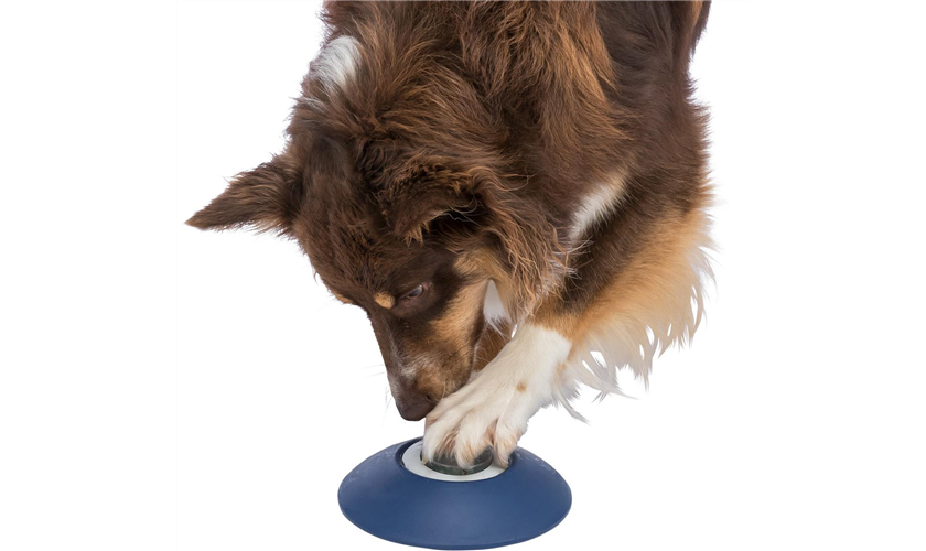 Memory Trainer 3.0 Strategiespiel Art.-Nr.: 32040, Maße: ø 20 × 24 cm Memory Trainer 3.0 Strategiespiel Art.-Nr.: 32040, Maße: ø 20 × 24 cm