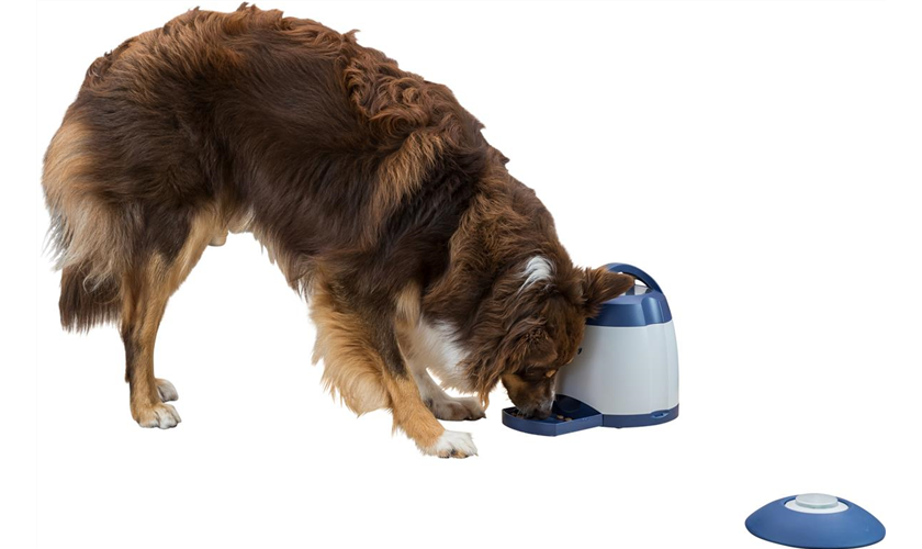 Memory Trainer 3.0 Strategiespiel Art.-Nr.: 32040, Maße: ø 20 × 24 cm Memory Trainer 3.0 Strategiespiel Art.-Nr.: 32040, Maße: ø 20 × 24 cm