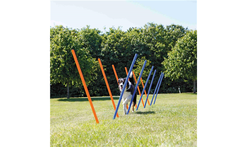 Fun Agility Slalom Art.-Nr.: 3206, Maße: ø 3 × 115 cm, Inhalt: 12 St. Fun Agility Slalom Art.-Nr.: 3206, Maße: ø 3 × 115 cm, Inhalt: 12 St.