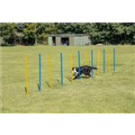 Fun Agility Slalom Art.-Nr.: 3206, Maße: ø 3 × 115 cm, Inhalt: 12 St. Fun Agility Slalom Art.-Nr.: 3206, Maße: ø 3 × 115 cm, Inhalt: 12 St.