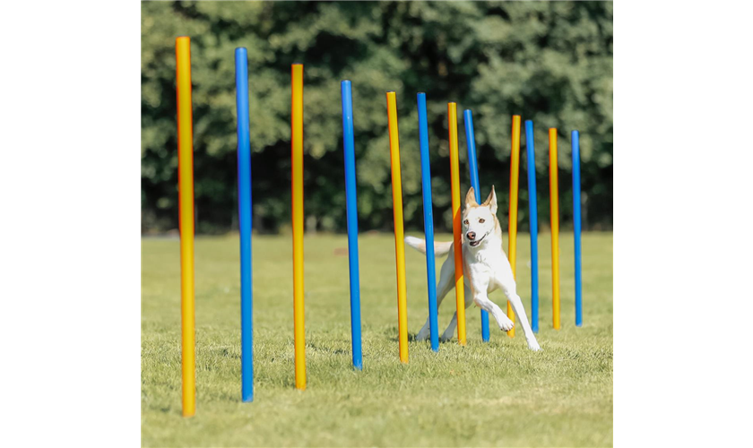 Fun Agility Slalom Art.-Nr.: 3206, Maße: ø 3 × 115 cm, Inhalt: 12 St. Fun Agility Slalom Art.-Nr.: 3206, Maße: ø 3 × 115 cm, Inhalt: 12 St.