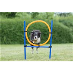 Fun Agility Ring Art.-Nr.: 3208, Maße: 115 × ø 3 cm, ø 65 cm Fun Agility Ring Art.-Nr.: 3208, Maße: 115 × ø 3 cm, ø 65 cm