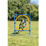 Fun Agility Ring Art.-Nr.: 3208, Maße: 115 × ø 3 cm, ø 65 cm Fun Agility Ring Art.-Nr.: 3208, Maße: 115 × ø 3 cm, ø 65 cm