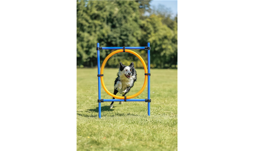 Fun Agility Ring Art.-Nr.: 3208, Maße: 115 × ø 3 cm, ø 65 cm Fun Agility Ring Art.-Nr.: 3208, Maße: 115 × ø 3 cm, ø 65 cm