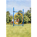 Fun Agility Ring Art.-Nr.: 3208, Maße: 115 × ø 3 cm, ø 65 cm Fun Agility Ring Art.-Nr.: 3208, Maße: 115 × ø 3 cm, ø 65 cm