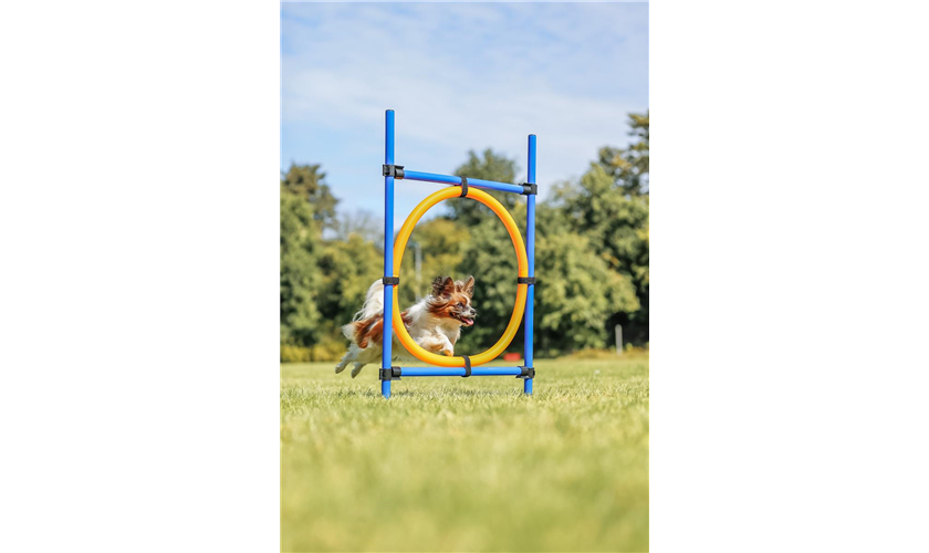 Fun Agility Ring Art.-Nr.: 3208, Maße: 115 × ø 3 cm, ø 65 cm Fun Agility Ring Art.-Nr.: 3208, Maße: 115 × ø 3 cm, ø 65 cm