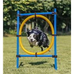 Fun Agility Ring Art.-Nr.: 3208, Maße: 115 × ø 3 cm, ø 65 cm Fun Agility Ring Art.-Nr.: 3208, Maße: 115 × ø 3 cm, ø 65 cm