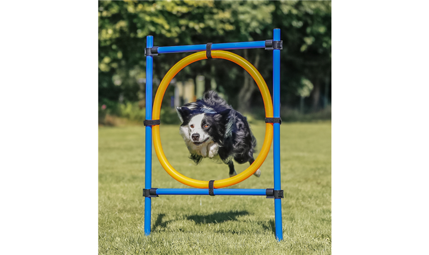Fun Agility Ring Art.-Nr.: 3208, Maße: 115 × ø 3 cm, ø 65 cm Fun Agility Ring Art.-Nr.: 3208, Maße: 115 × ø 3 cm, ø 65 cm