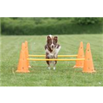 Pylonen-Hindernis-Set Art.-Nr.: 32091, Maße: ø 23 × 30 cm/78 cm, Inhalt 6 Pylonen/3 Stangen Pylonen-Hindernis-Set Art.-Nr.: 32091, Maße: ø 23 × 30 cm/78 cm, Inhalt 6 Pylonen/3 Stangen