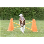 Pylonen-Hindernis-Set Art.-Nr.: 32091, Maße: ø 23 × 30 cm/78 cm, Inhalt 6 Pylonen/3 Stangen Pylonen-Hindernis-Set Art.-Nr.: 32091, Maße: ø 23 × 30 cm/78 cm, Inhalt 6 Pylonen/3 Stangen